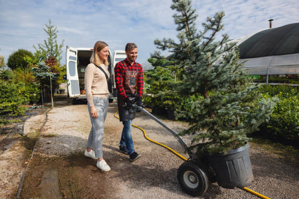 Red Lion, PA Tree Removal Company